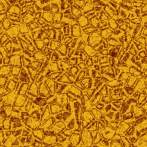 Variation 3