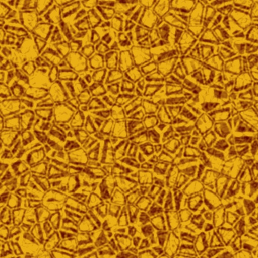 Variation 4