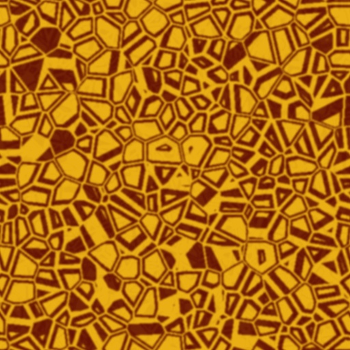 Variation 6