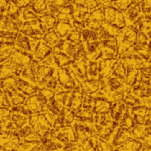 Variation 8