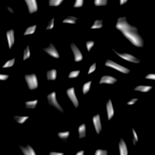 Bump Map