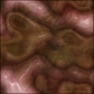 Necroflesh