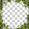 Foxxee's ' Spiritl of Nature'