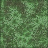 DragonSkin