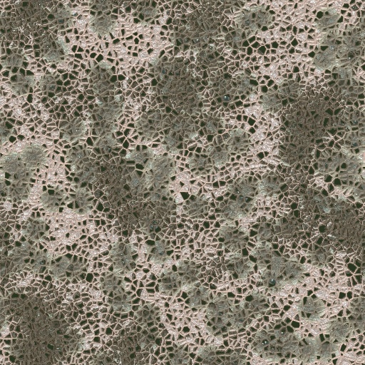 Variation 7