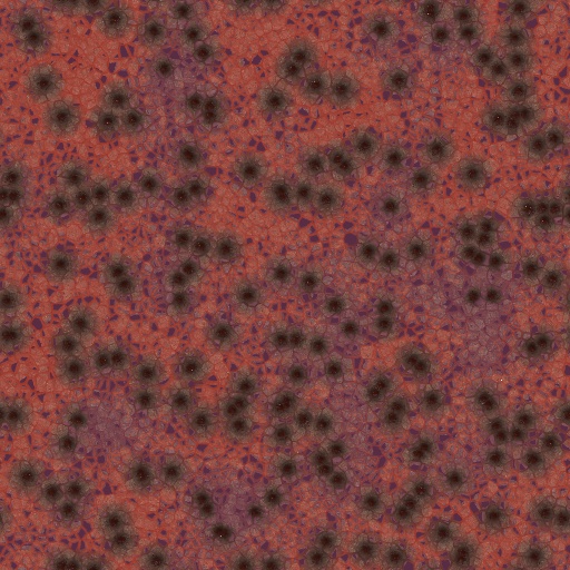 Variation 8