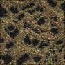 Meander