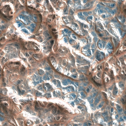 Variation 7