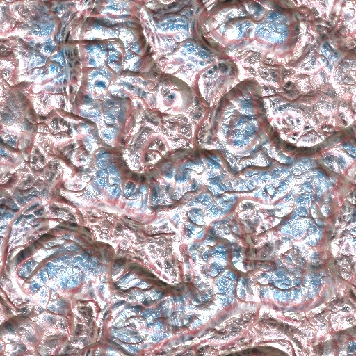 Variation 8