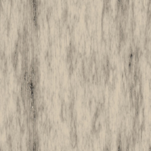 Italian_marble (Texture)