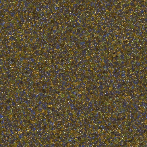 Variation 6