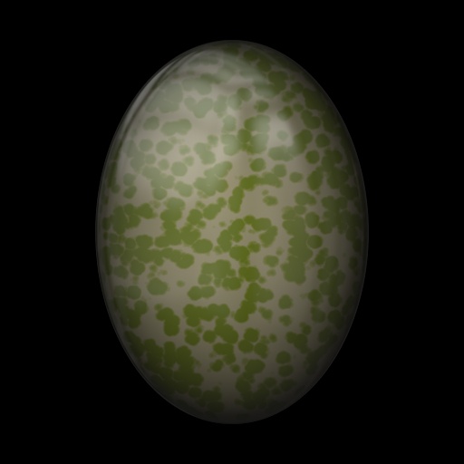 Variation 5