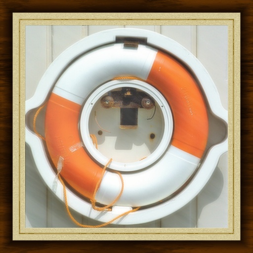 Framed Art Exhibition (Effect)