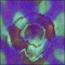Distortions 2.