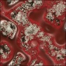 Micromossy
