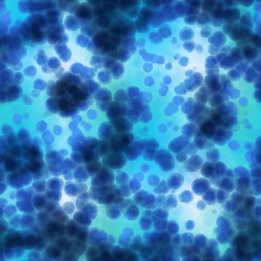 Variation 4