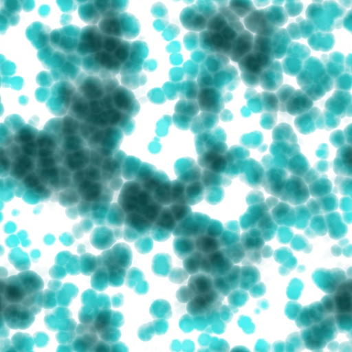 Variation 8