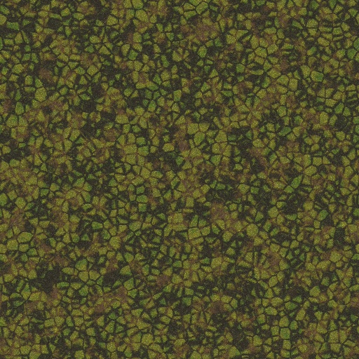 Variation 4