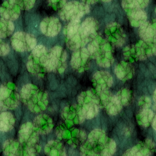 Variation 5