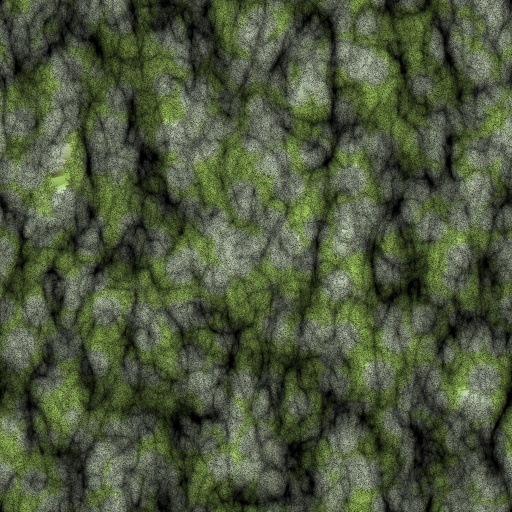 Variation 8