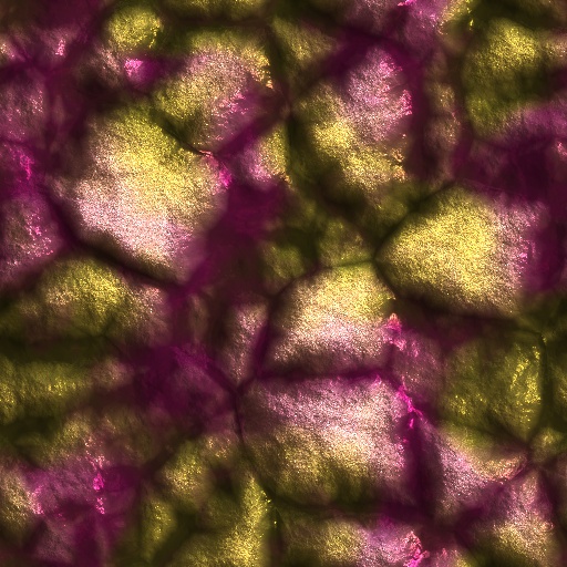 Variation 5