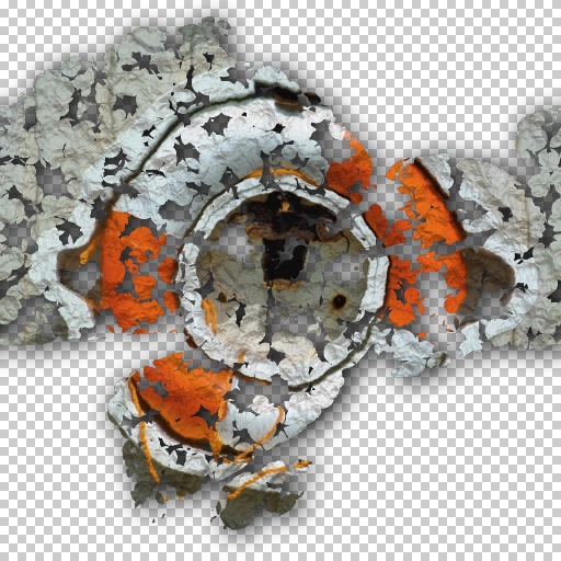 Variation 3