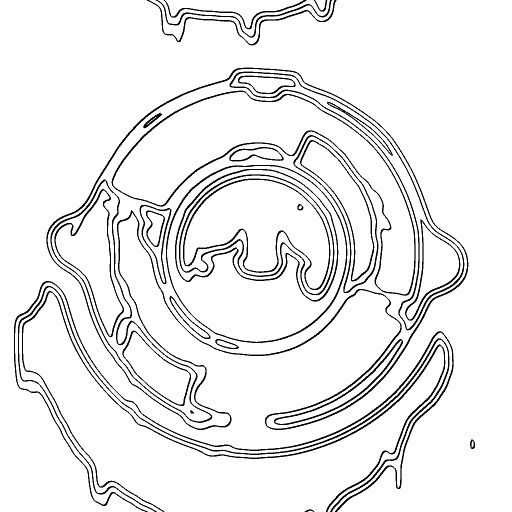 Variation 1