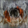 Tecnic Chaos