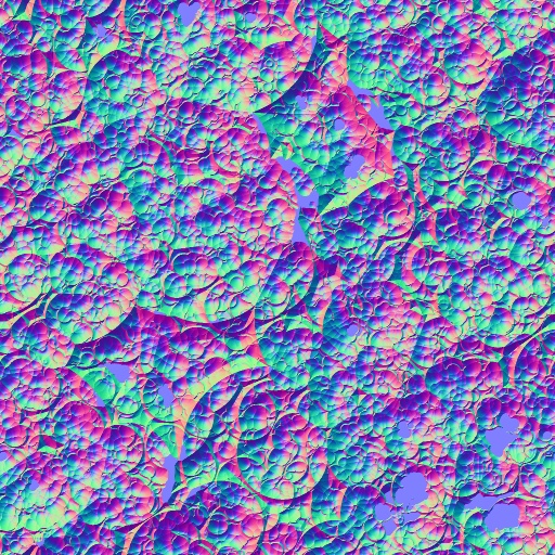 Normal Map