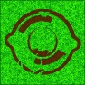 Crop Circle