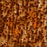 Rust