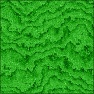 Lettuce Leaf