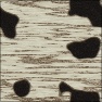 Birch Tree Bark