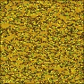 Fools Gold