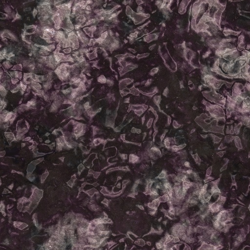 Variation 8