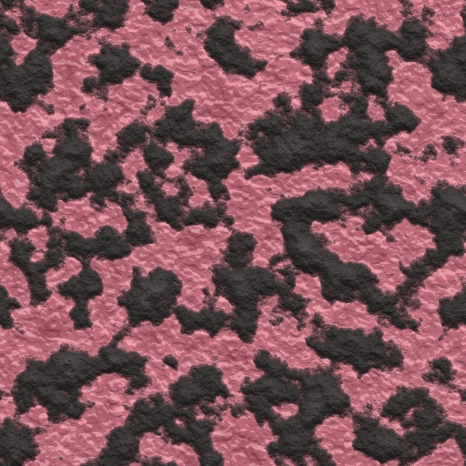 Variation 8