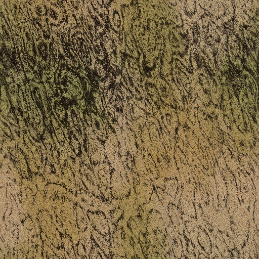 Variation 5