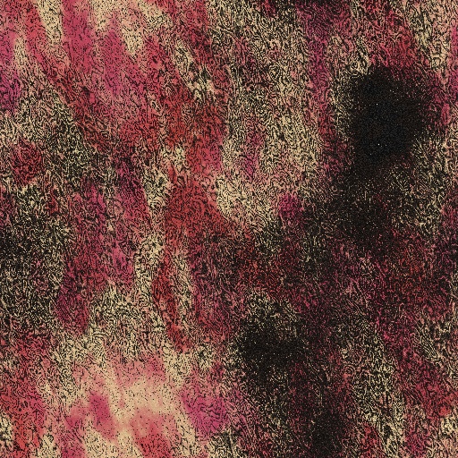 Variation 8