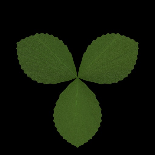Variation 4