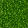 Monocotyledonous green plants