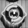 FLIR