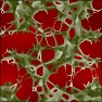 Abstract thornbush