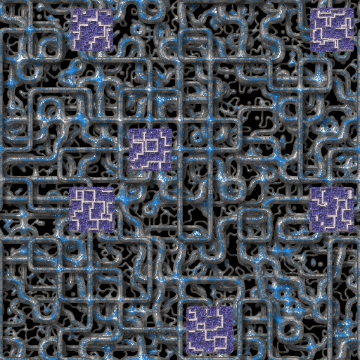 Variation 7