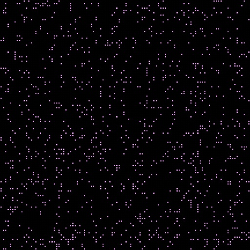 Variation 7