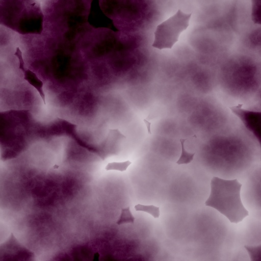Variation 7