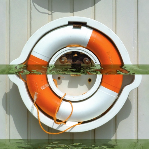 Variation 7