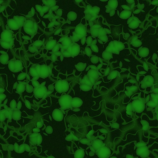 Diffuse Map