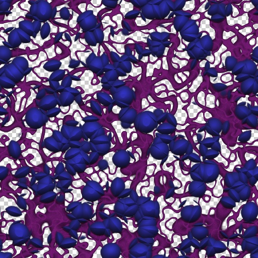 Variation 4