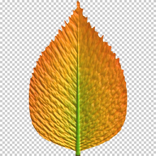 Variation 4
