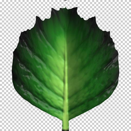 Variation 5